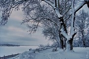 Снежная Кострома