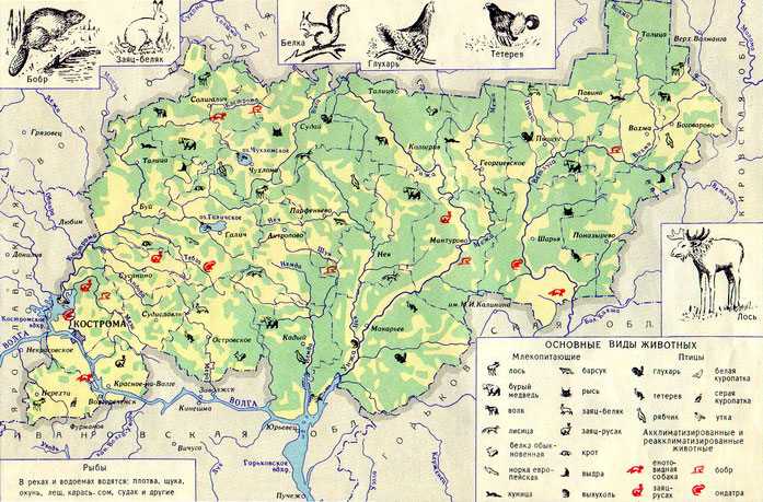 Зоогеографическая карта ивановской области